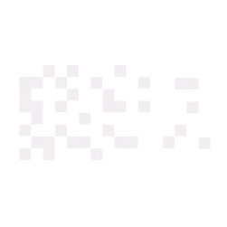 Miniature Blood Pressure Transducer